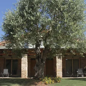 https://casal-lluent.hotelsalgherosardinia.com
